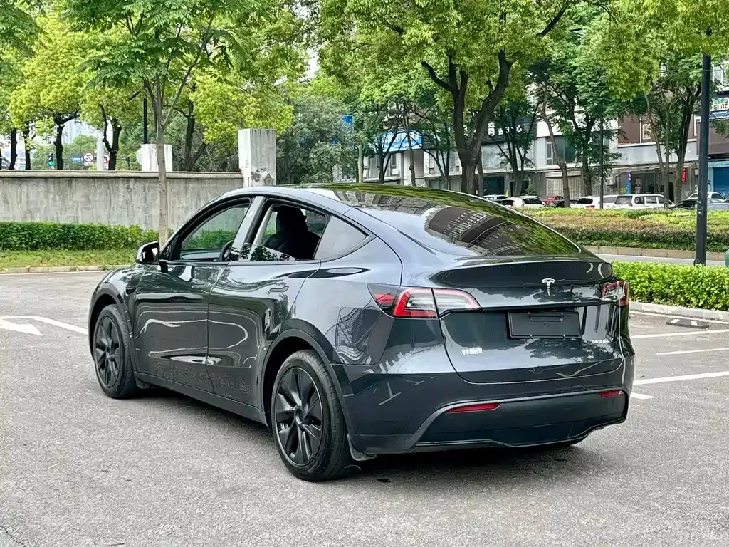 Tesla Model Y — фото 6