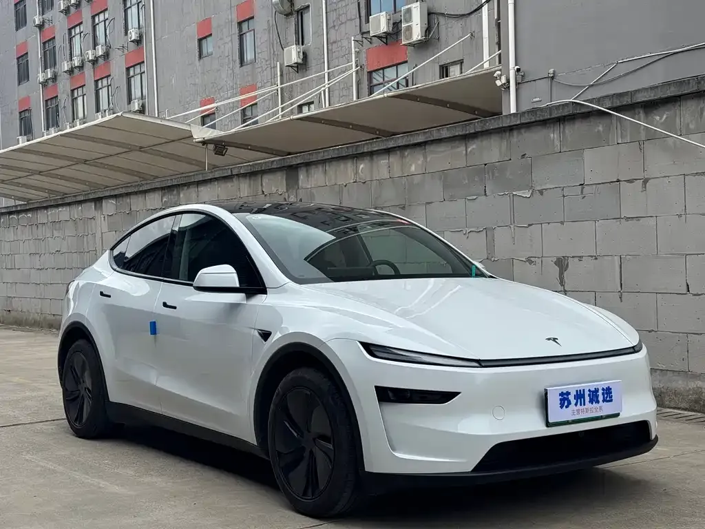 Tesla Model Y 2025 из CN, фото 8