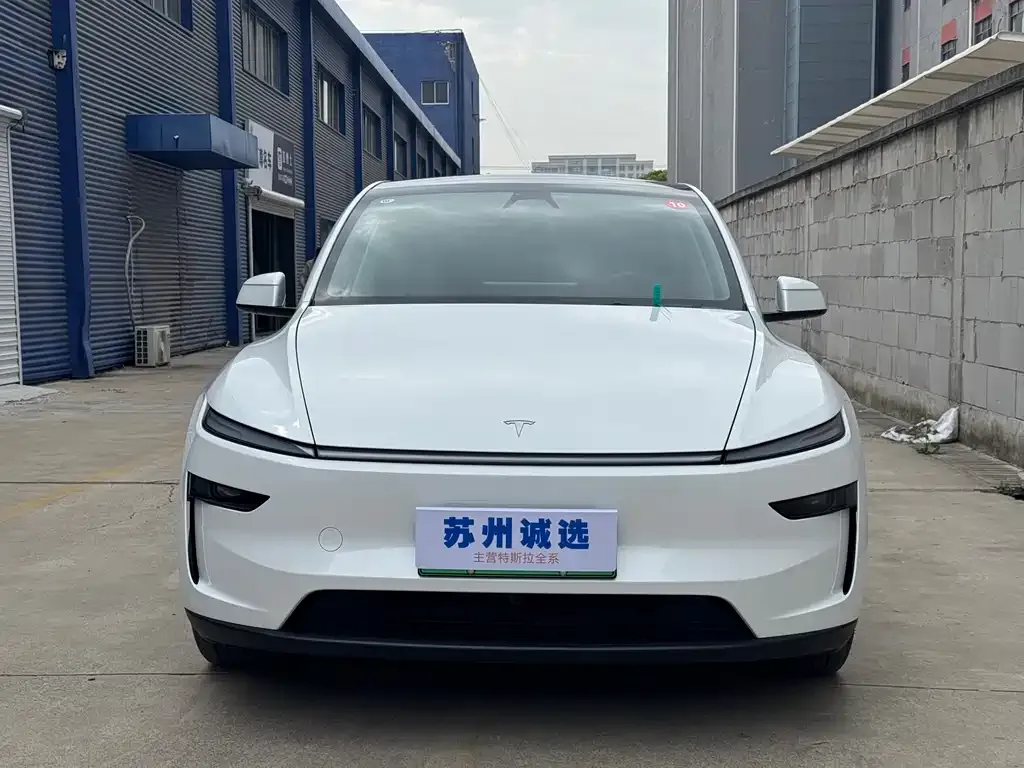 Tesla Model Y 2025 из CN, фото 7