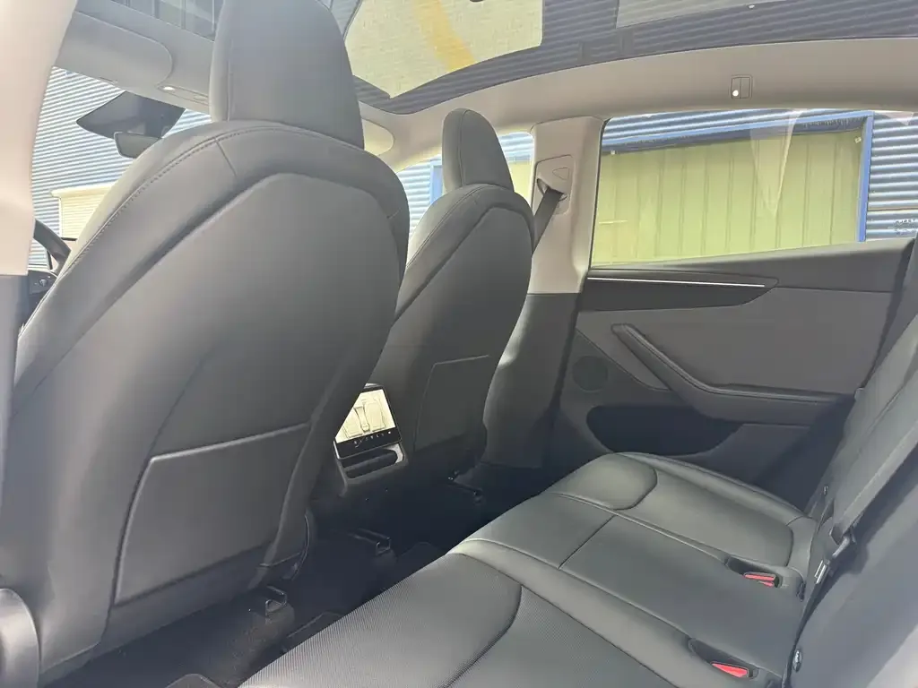 Tesla Model Y 2025 из CN, фото 2