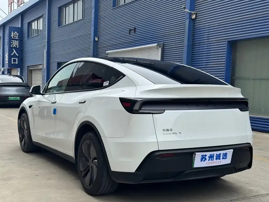 Tesla Model Y 2025 из CN, фото 6