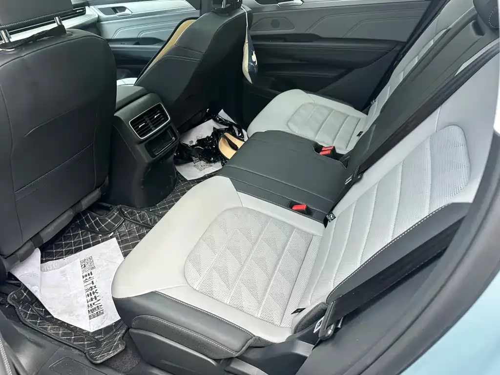Volkswagen Tavendor 2023 из CN, фото 4