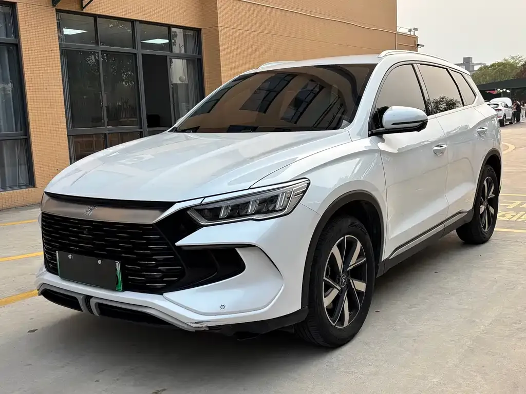 BYD Pro New Energy