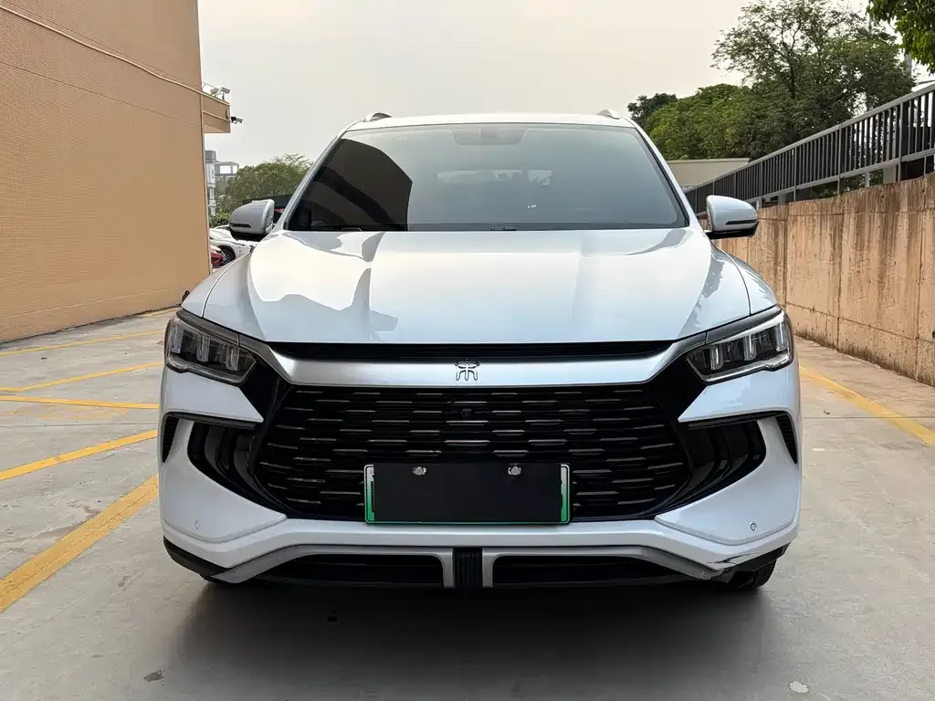 BYD Pro New Energy 2024 из CN, фото 2