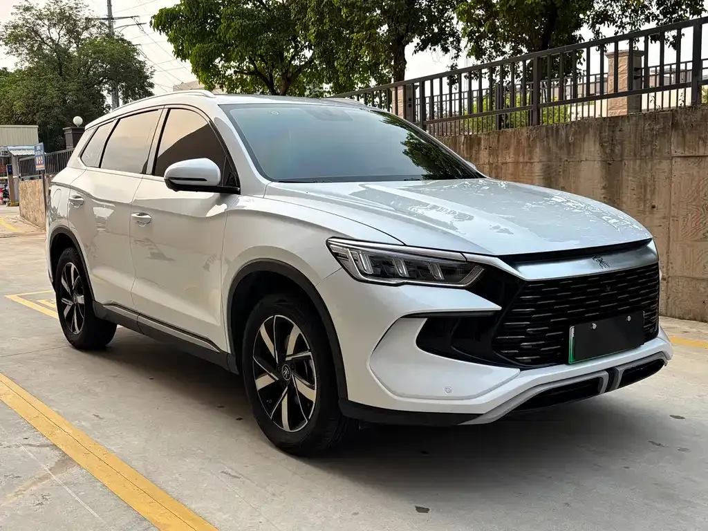 BYD Pro New Energy 2024 из CN, фото 4