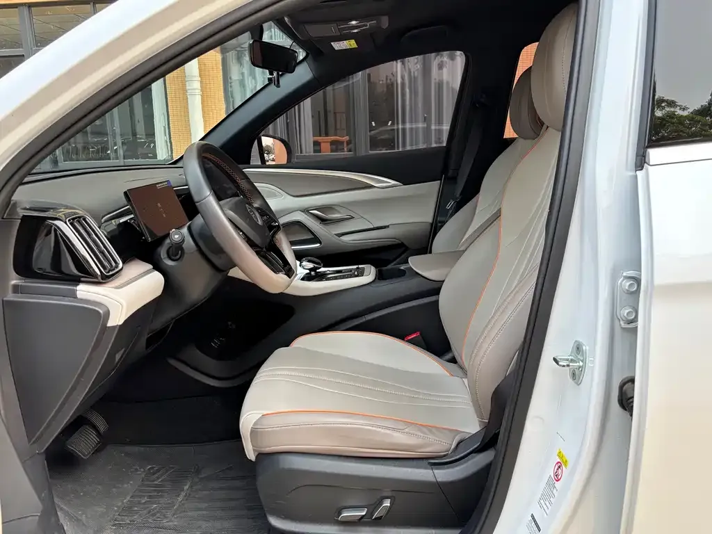 BYD Pro New Energy 2024 из CN, фото 5