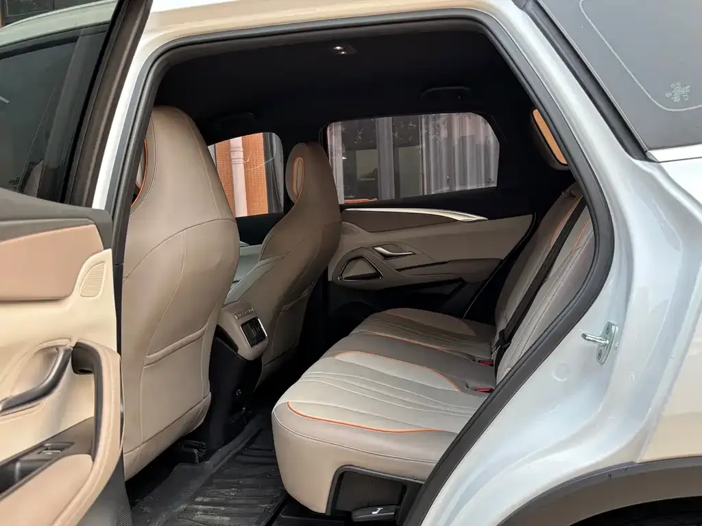 BYD Pro New Energy 2024 из CN, фото 3