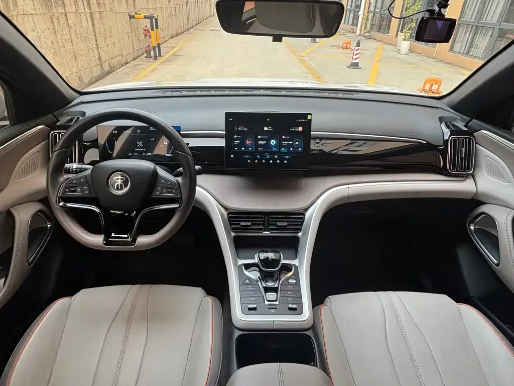 BYD Pro New Energy 2024 из CN, фото 7