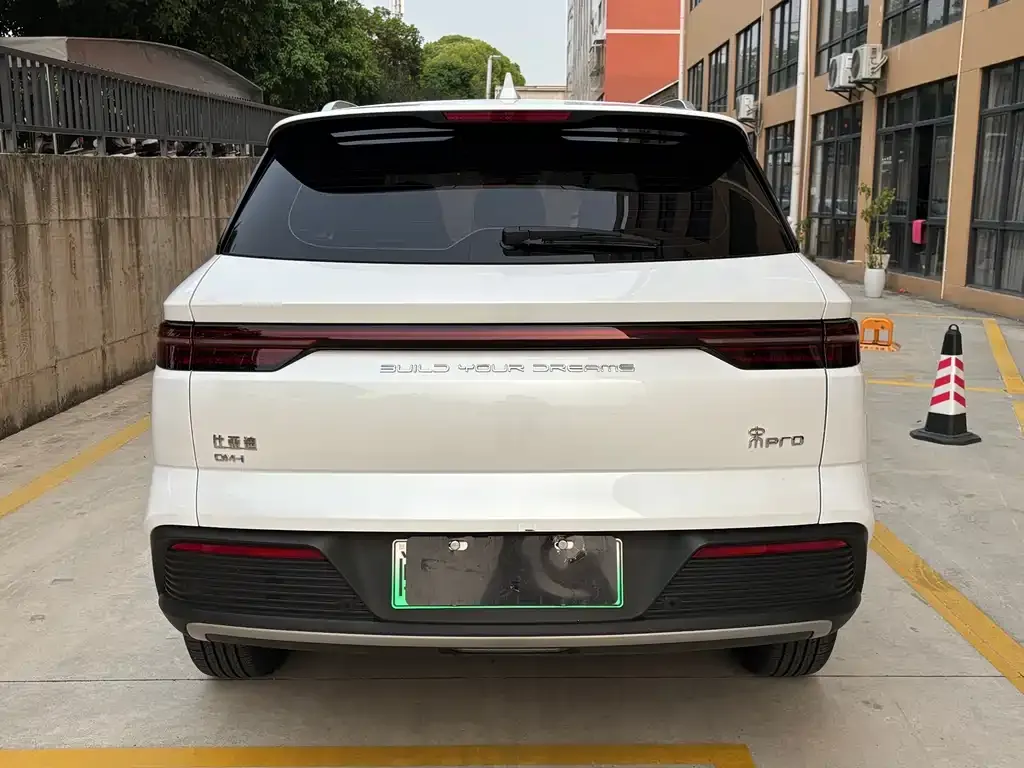 BYD Pro New Energy 2024 из CN, фото 6