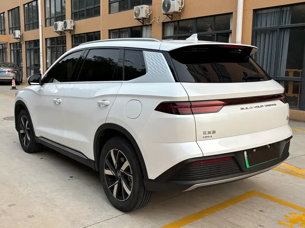 BYD Pro New Energy 2024 из CN, фото 8