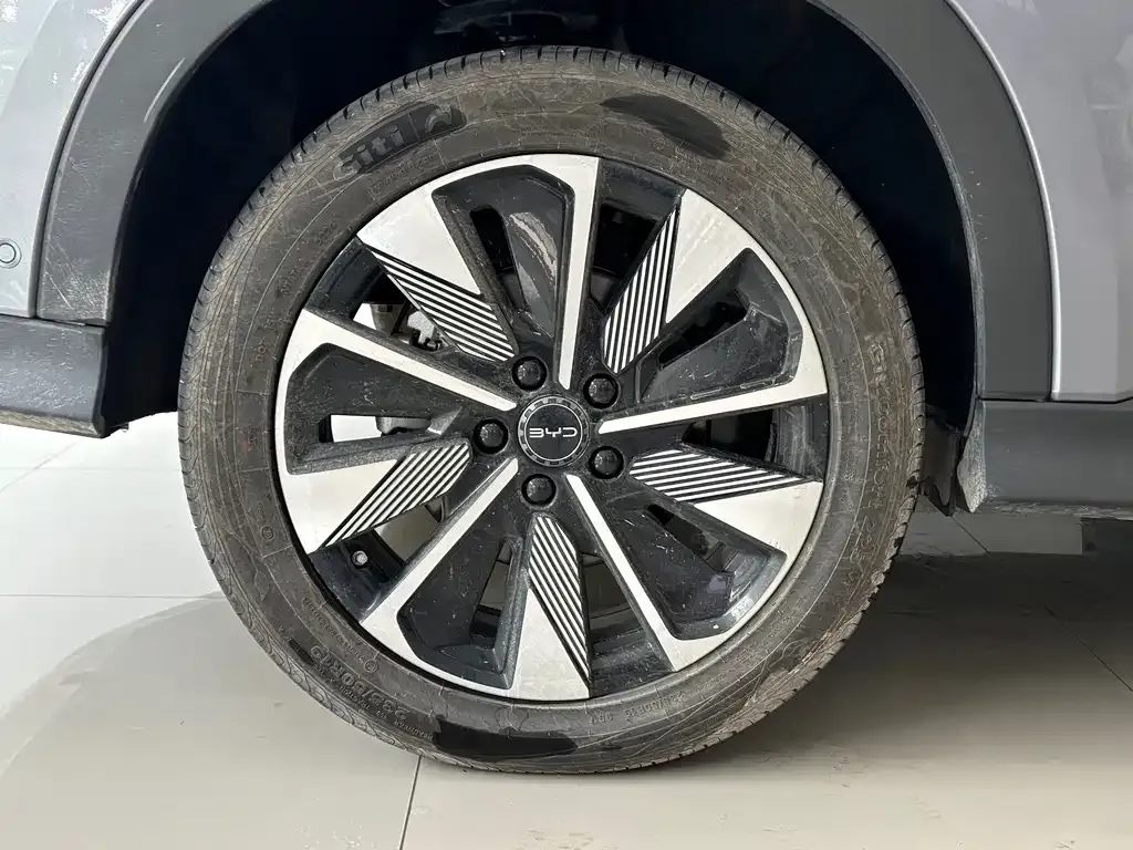 BYD PLUS New Energy — фото 8