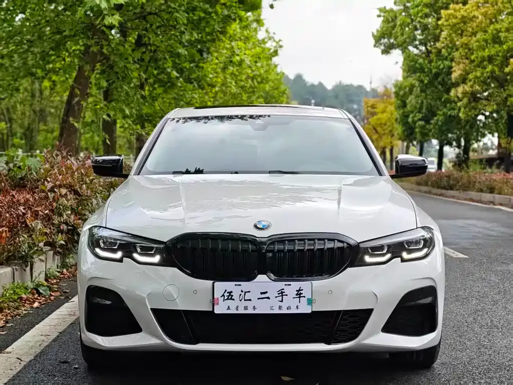 BMW 3 Series 2021 из CN, фото 7