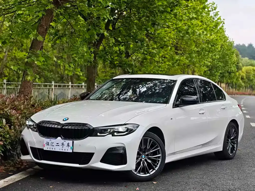 BMW 3 Series 2021 из CN, фото 9