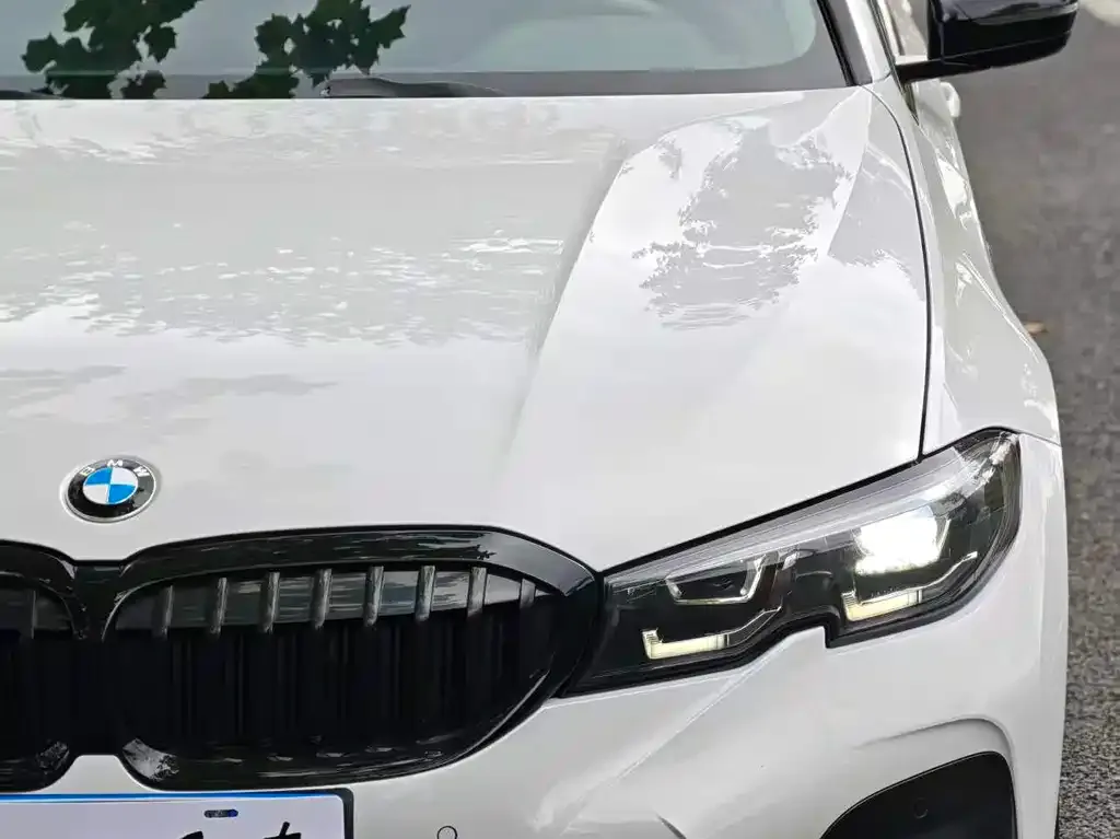 BMW 3 Series 2021 из CN, фото 10