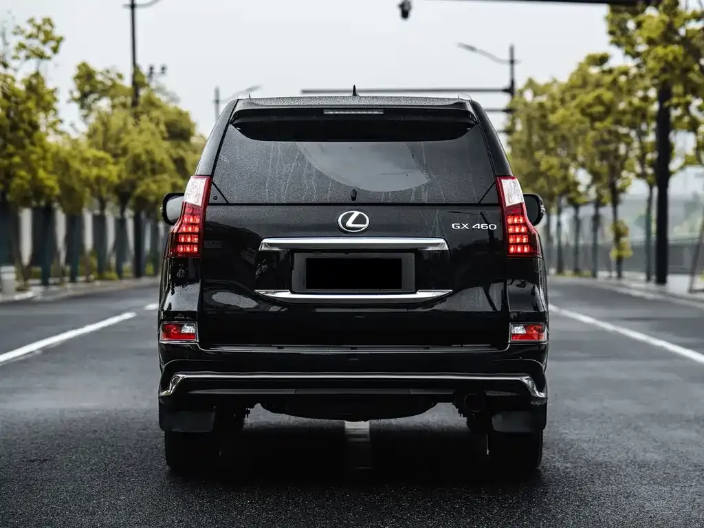 Lexus GX 2024 из CN, фото 6