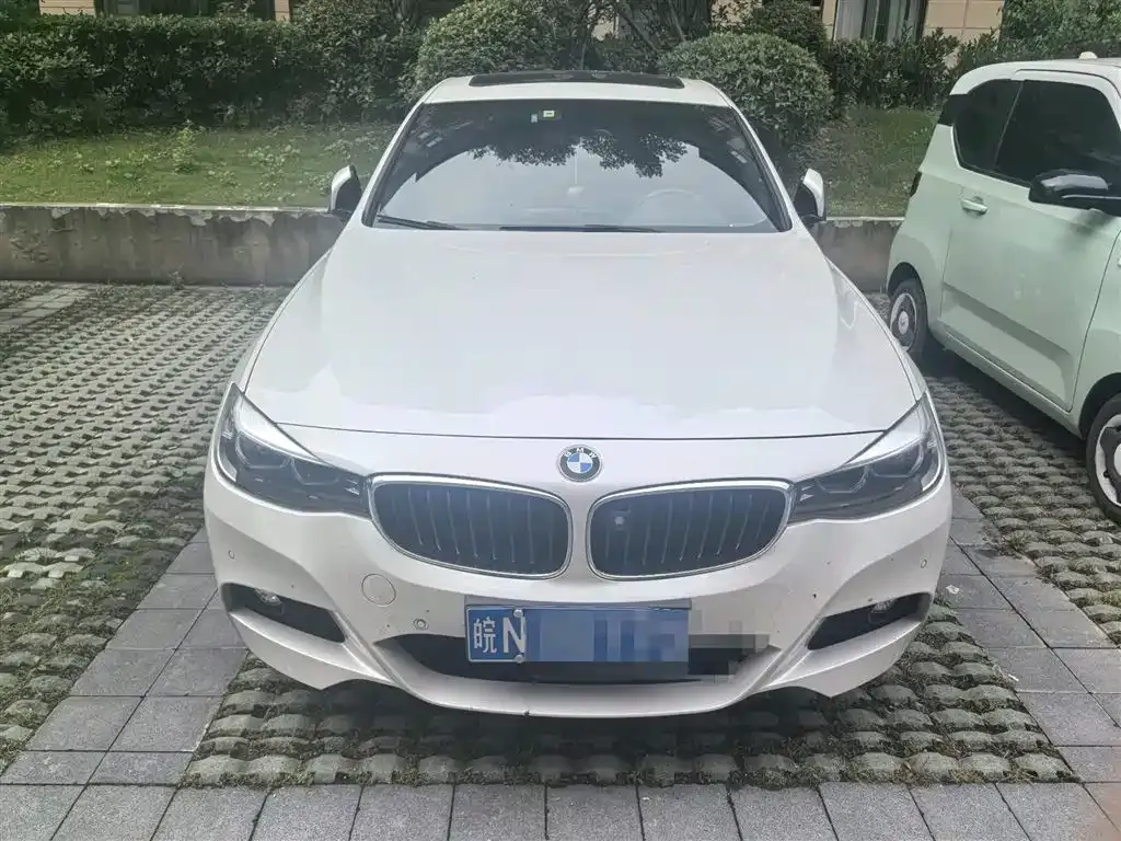 BMW 3 Series GT 2021 из CN, фото 3