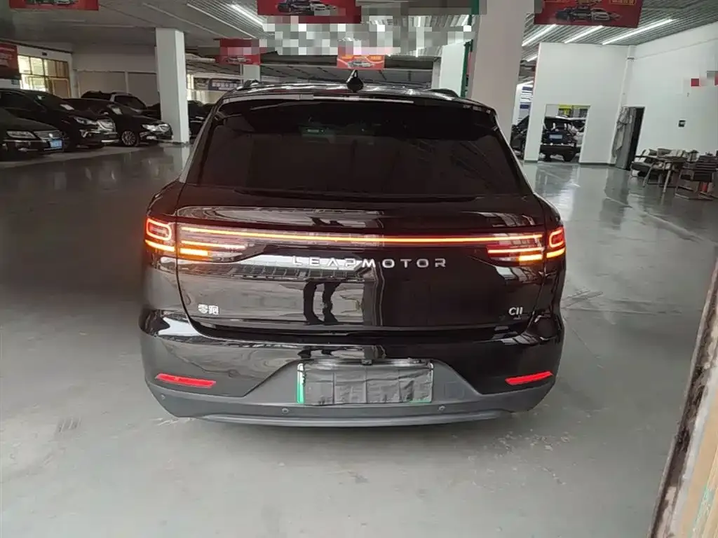 Leapmotor C11 2023 из CN, фото 4
