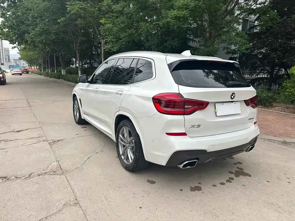 BMW X3 2021 из CN, фото 3