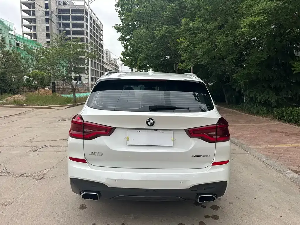 BMW X3 2021 из CN, фото 10