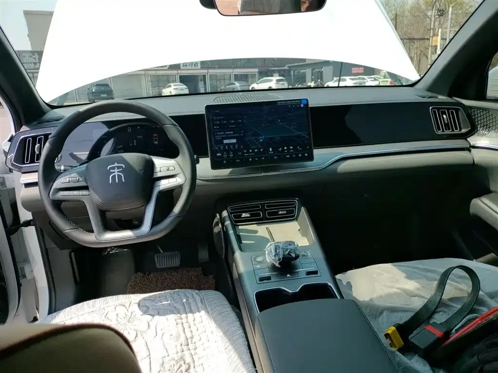 BYD Pro New Energy 2025 из CN, фото 2