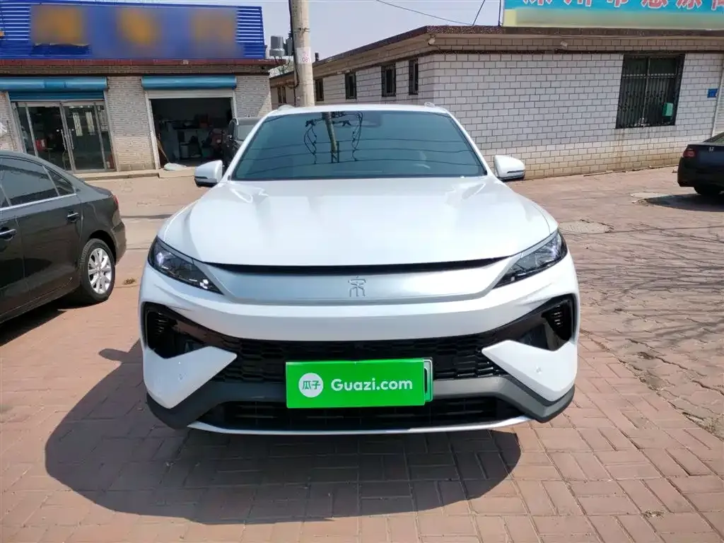 BYD Pro New Energy 2025 из CN, фото 8