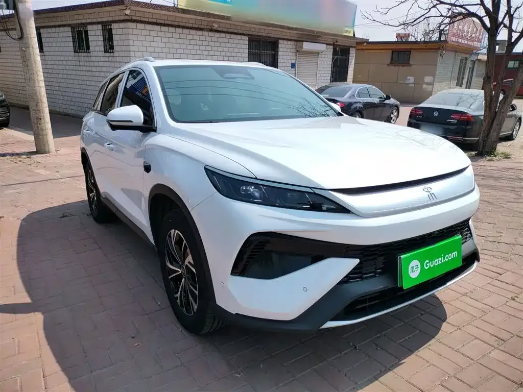 BYD Pro New Energy 2025 из CN, фото 10
