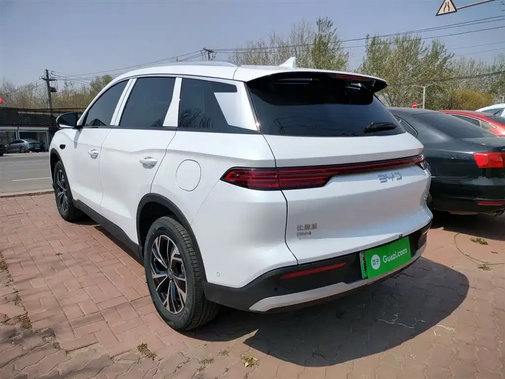 BYD Pro New Energy 2025 из CN, фото 6