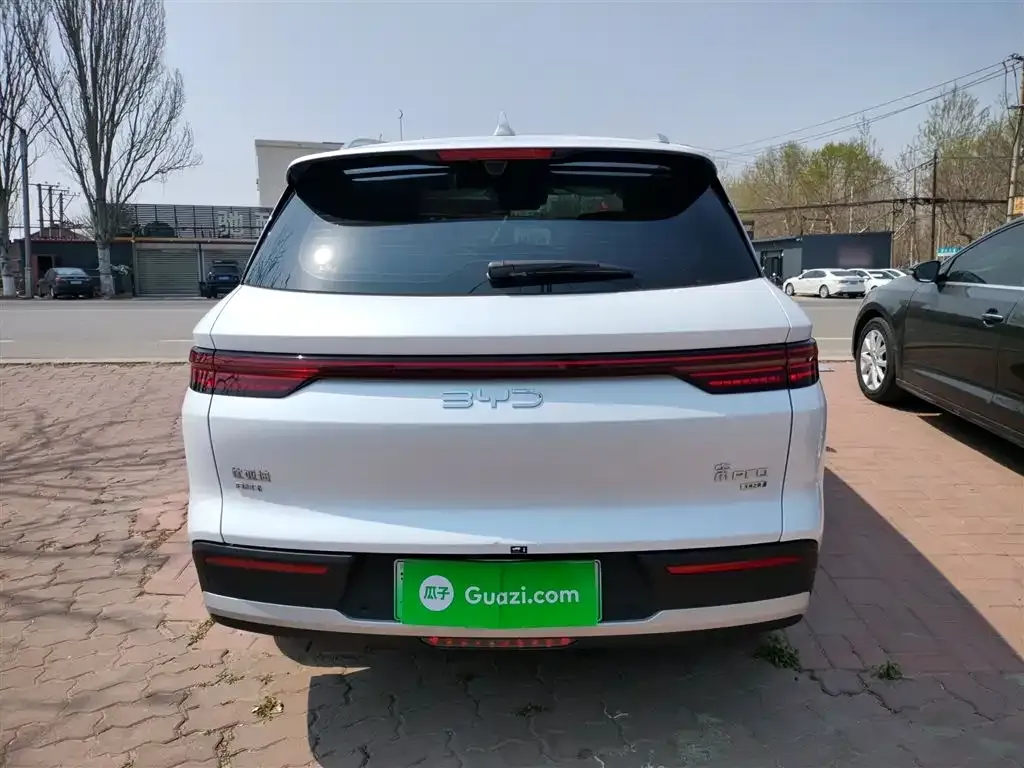 BYD Pro New Energy 2025 из CN, фото 5