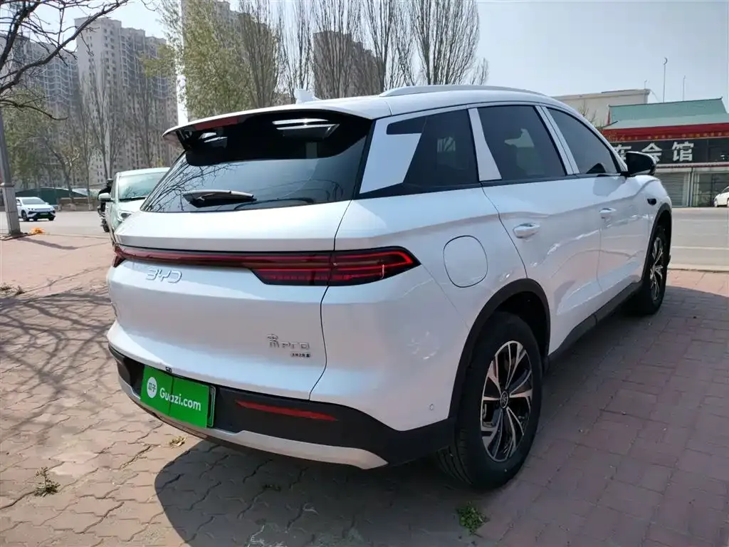 BYD Pro New Energy 2025 из CN, фото 9