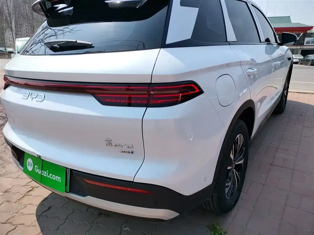 BYD Pro New Energy 2025 из CN, фото 4