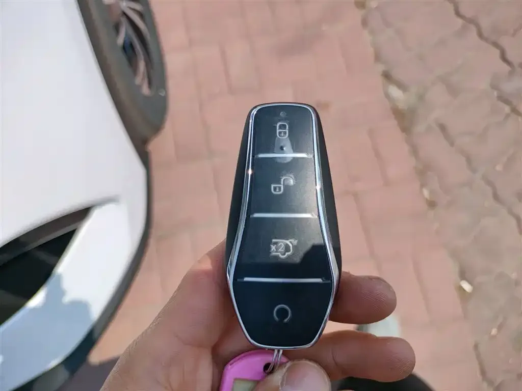 BYD Pro New Energy 2025 из CN, фото 7