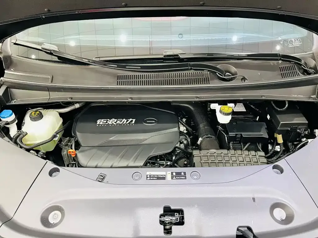 GAC Motor Trumpchi M8 2024 из CN, фото 5