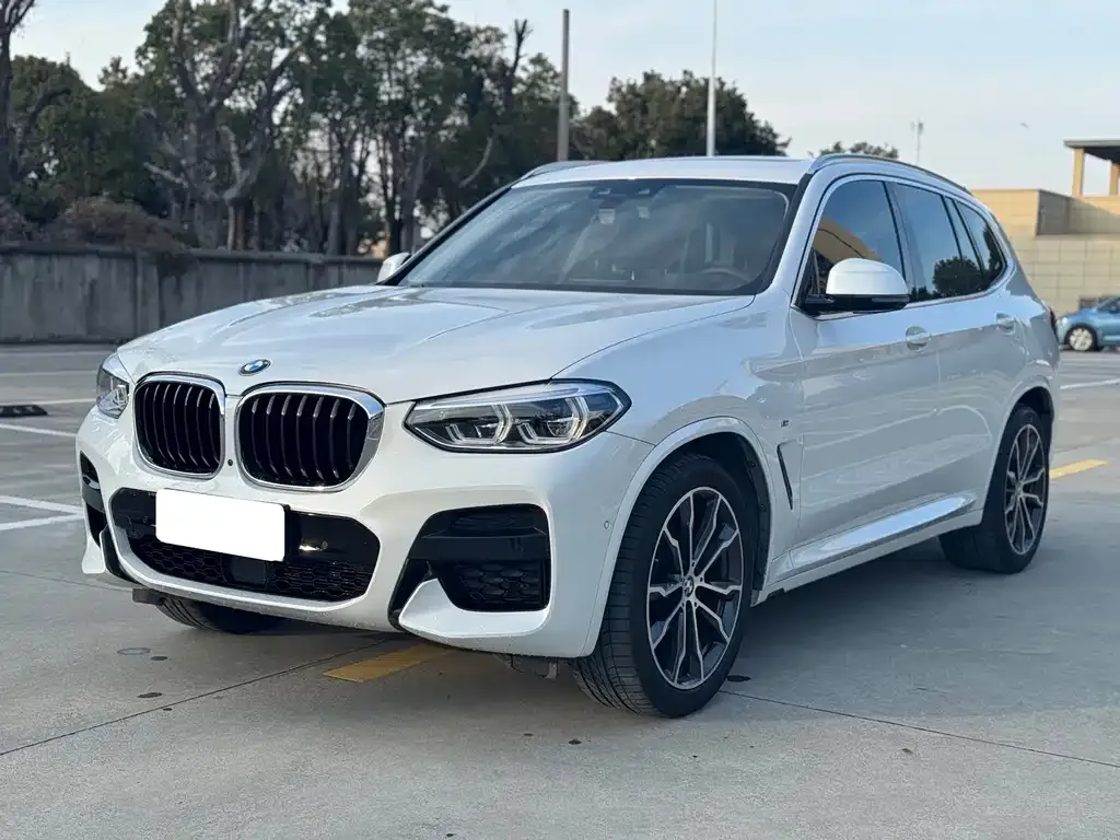 BMW X3 — фото 1