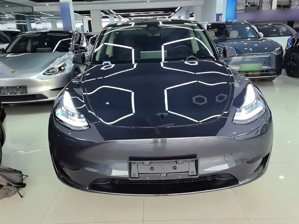 Tesla Model Y — фото 9