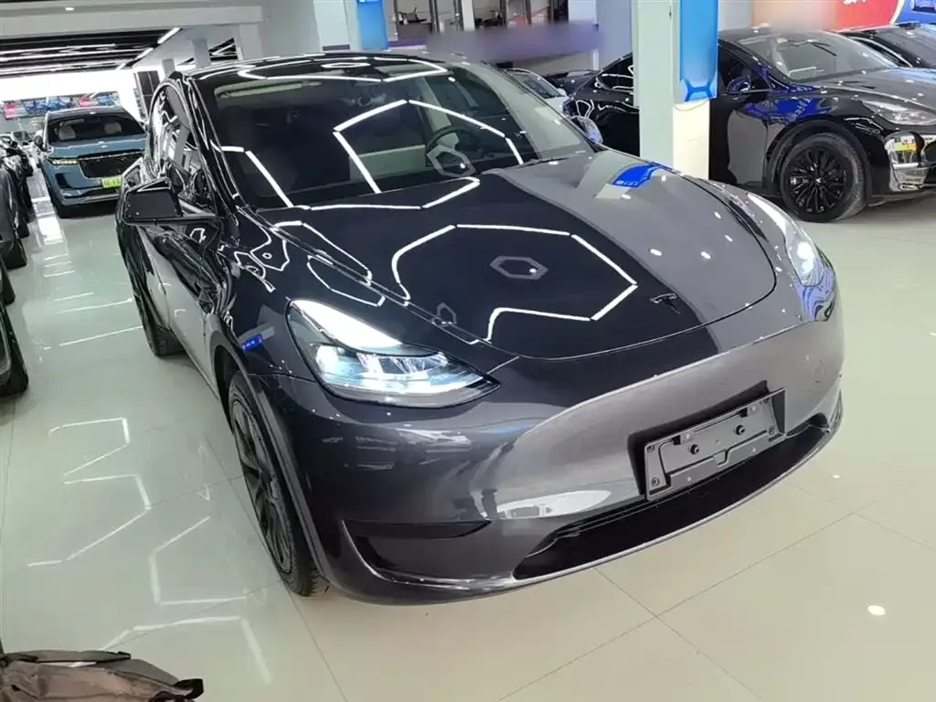 Tesla Model Y — фото 8
