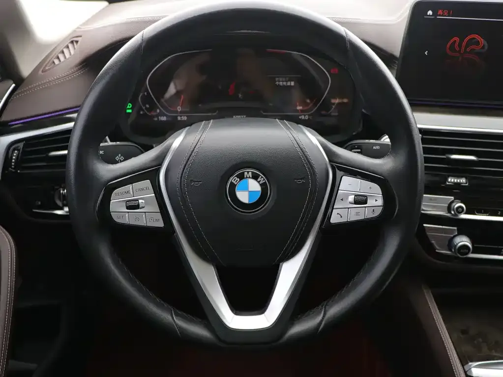 BMW 5 Series 2021 из CN, фото 5