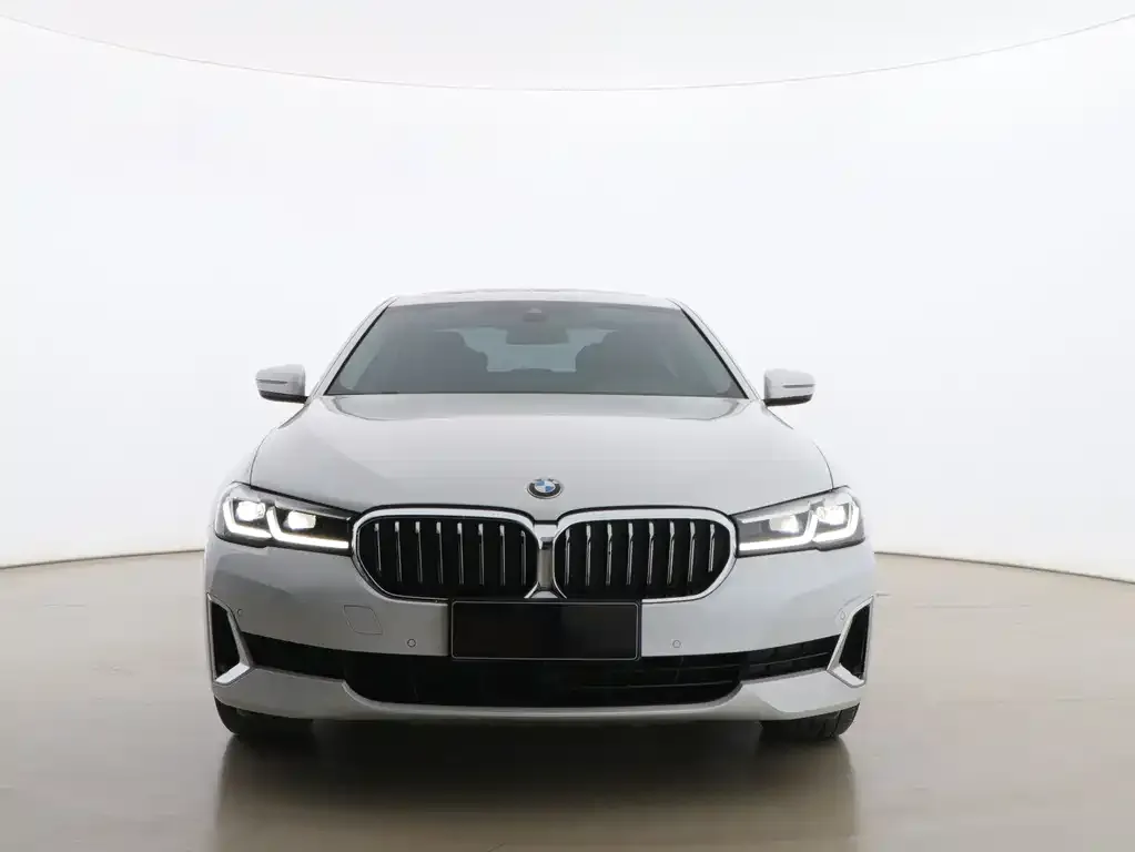 BMW 5 Series 2021 из CN, фото 3