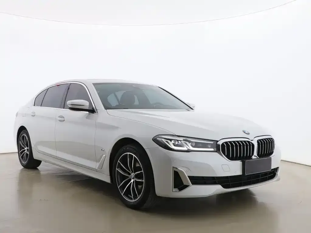 BMW 5 Series 2021 из CN, фото 4