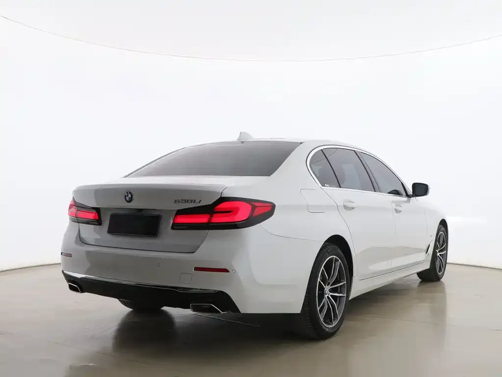 BMW 5 Series 2021 из CN, фото 6