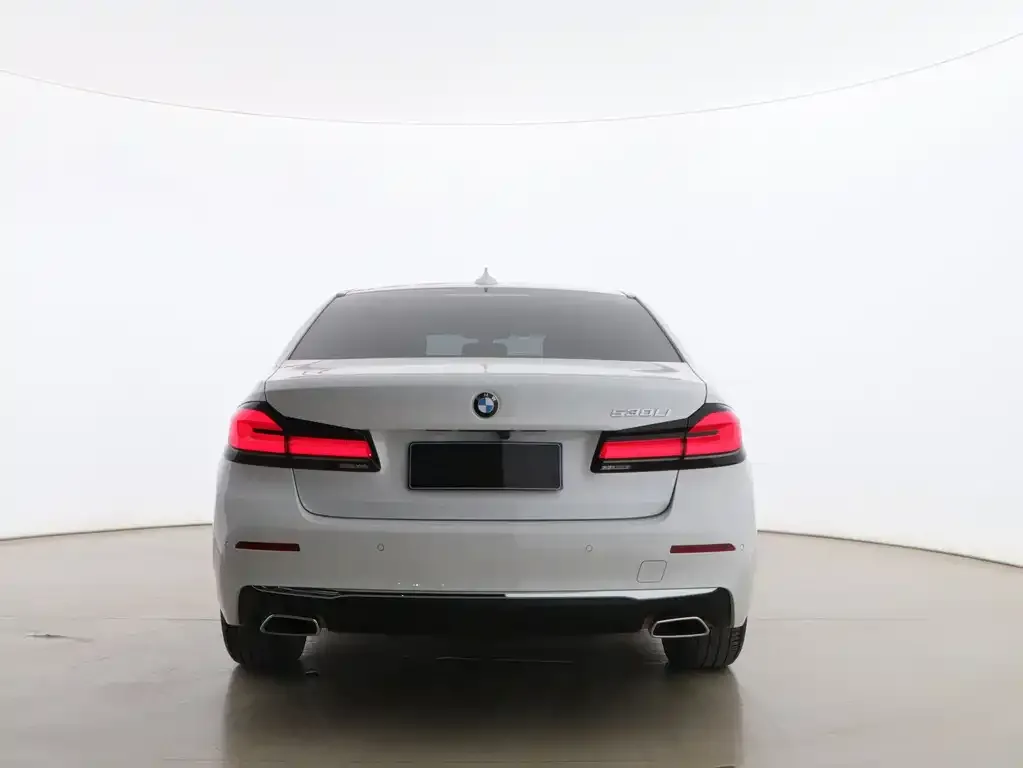 BMW 5 Series 2021 из CN, фото 7