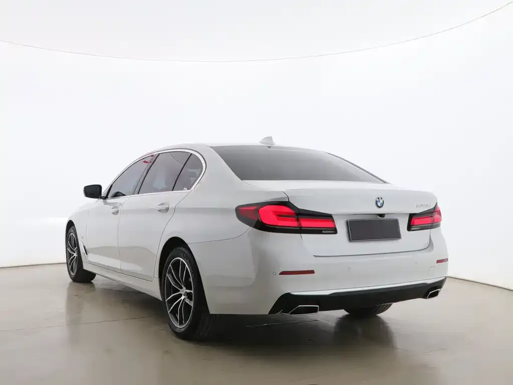 BMW 5 Series 2021 из CN, фото 10