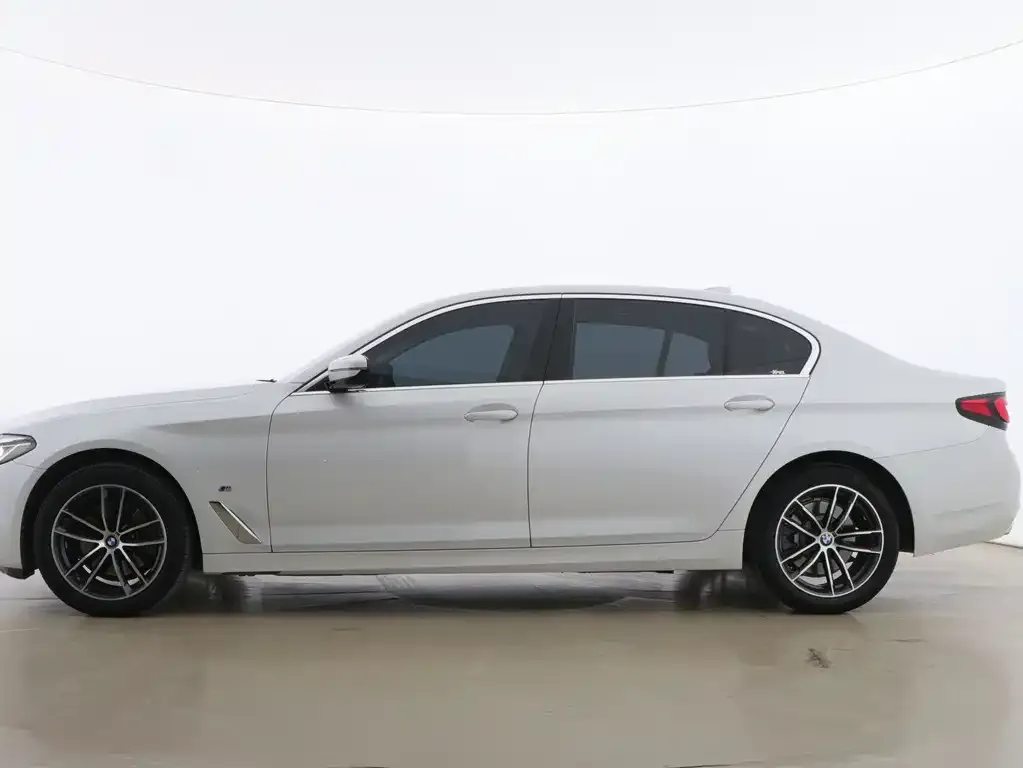 BMW 5 Series 2021 из CN, фото 2
