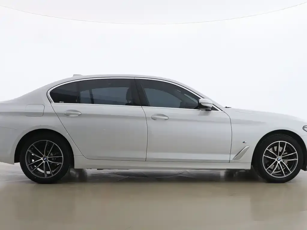 BMW 5 Series 2021 из CN, фото 9
