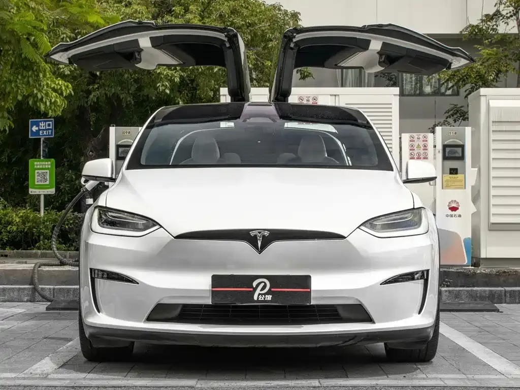Tesla Model X 2023 из CN, фото 8