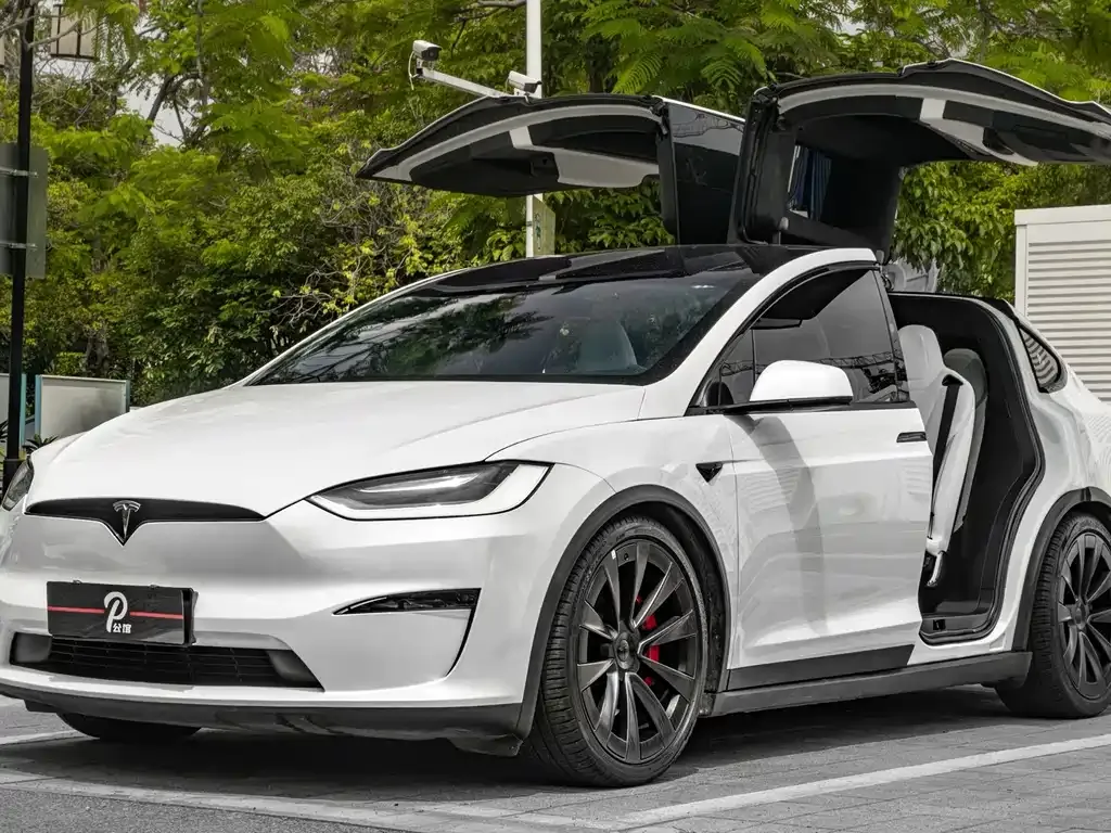 Tesla Model X 2023 из CN, фото 10