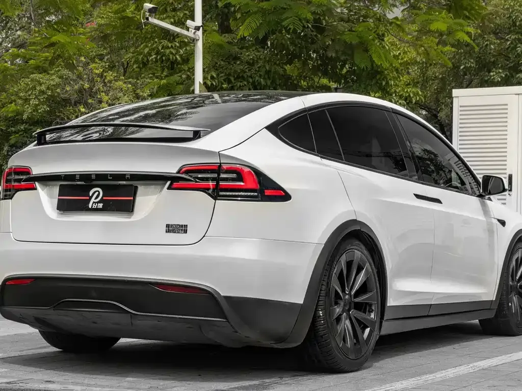 Tesla Model X 2023 из CN, фото 9