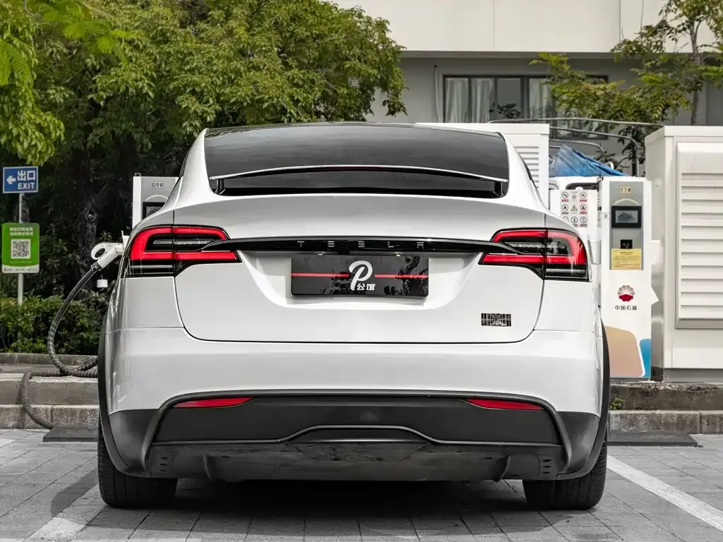 Tesla Model X 2023 из CN, фото 7