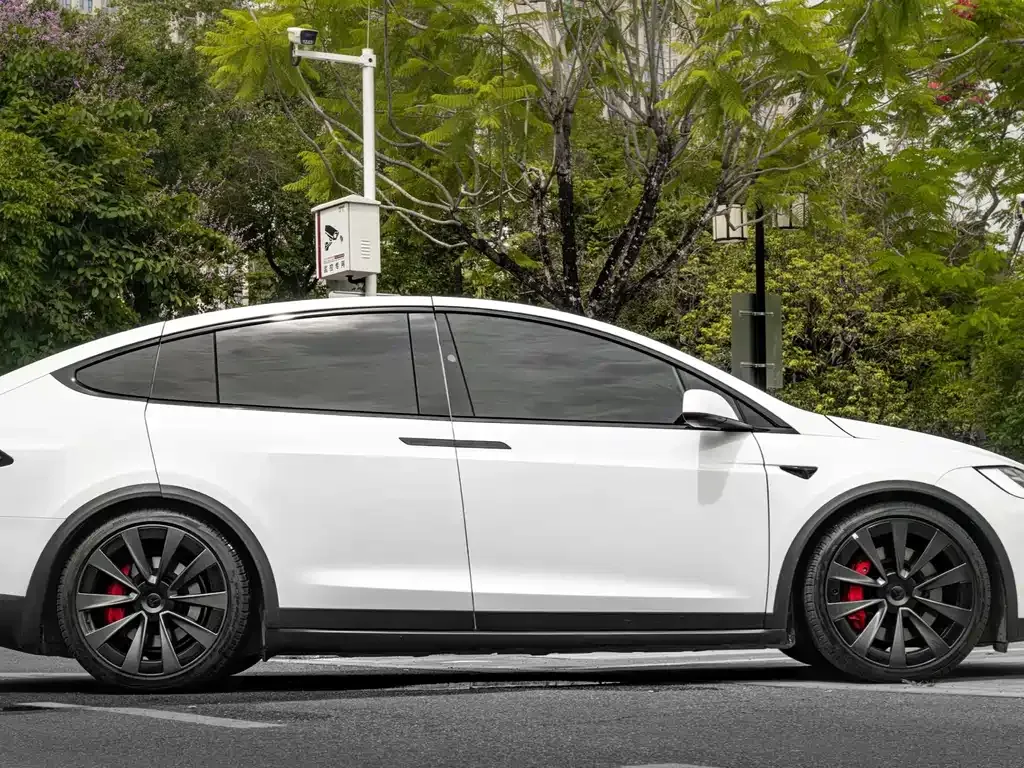 Tesla Model X 2023 из CN, фото 4