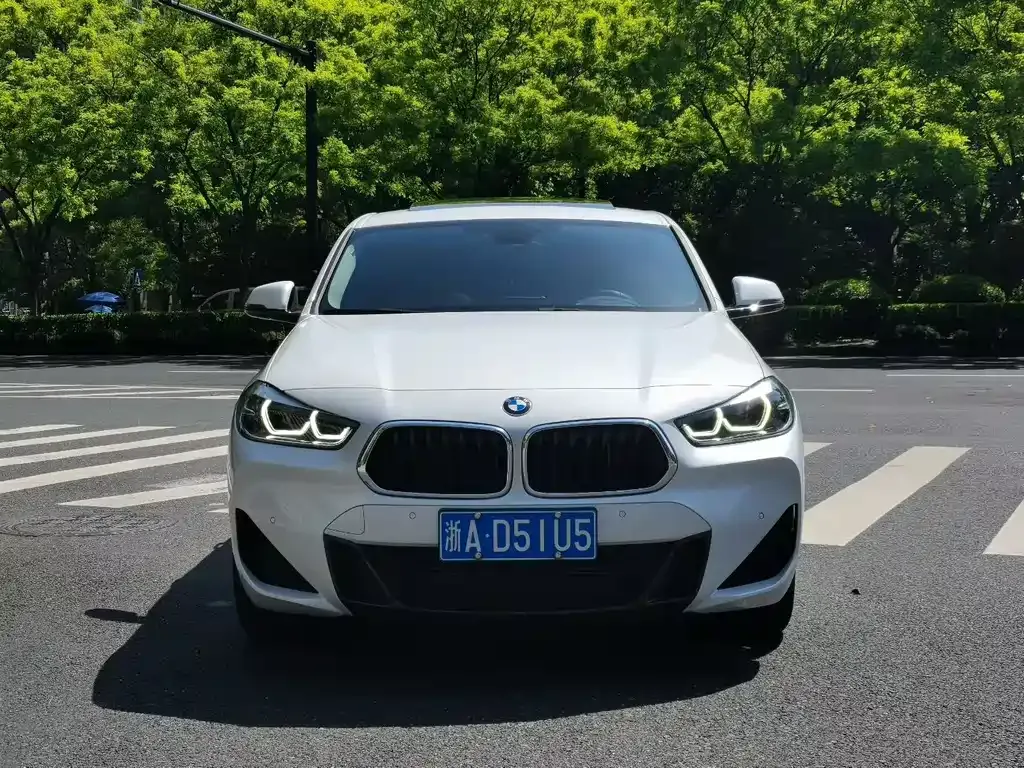 BMW X2 2022 из CN, фото 5