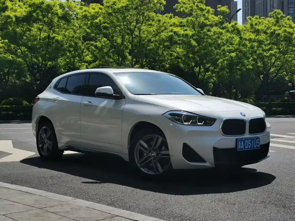 BMW X2 2022 из CN, фото 9